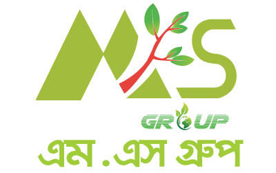 Welcome To MS Group